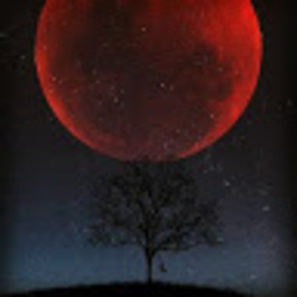 Meet your Posher, Sydney - Picture 1 of 1